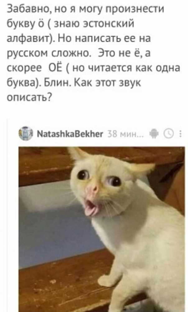 Картинки и мемы. Выходные близко...