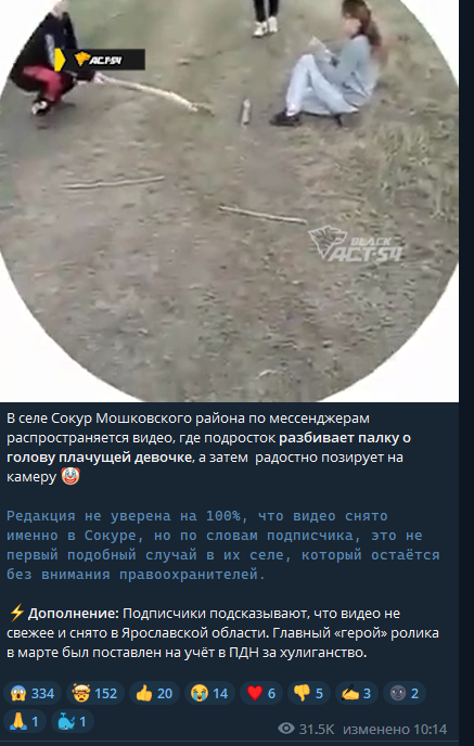 В селе Сокур Мошковского района подросток разбивает палку о голову плачущей девочке, а затем  радостно позирует на камеру