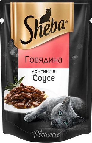 22 летний певец-миллионер Sheba Singer. Он же сын министра обороны Сергея Шойгу Данила.