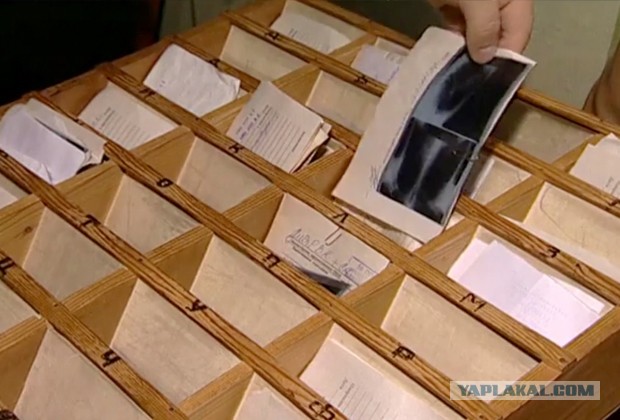 Серийный убийца — Максим Владимирович Петров ("Доктор Смерть").