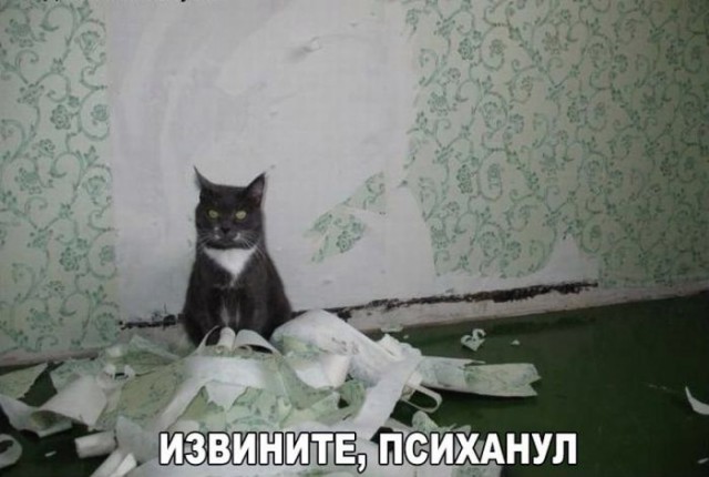 Вторник-повторник 12-12-2023