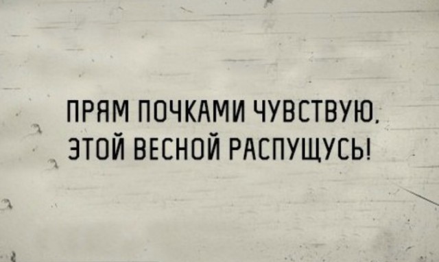 Чёрным по белому (Бояны)