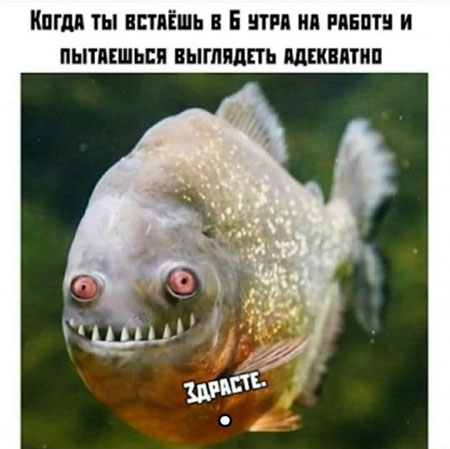 Суббото-баяно-лар