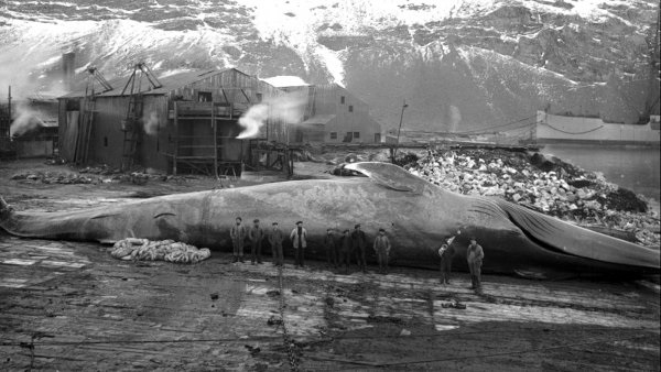Лица, события, эпохи: редкие исторические фотографии, которые перенесут вас в другое время