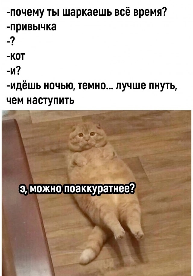К котовторнику: подборка картинок-баянов с котиками и про котиков. Выпуск 4