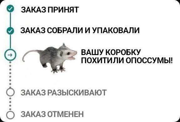 Завалялось тут случайно немного забавных картинок