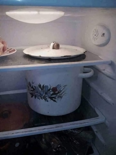 А где Цой?