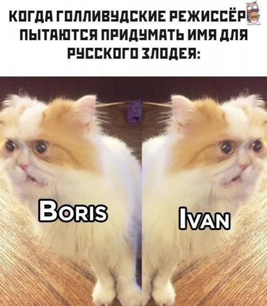 Так себе картинки 19.08.25