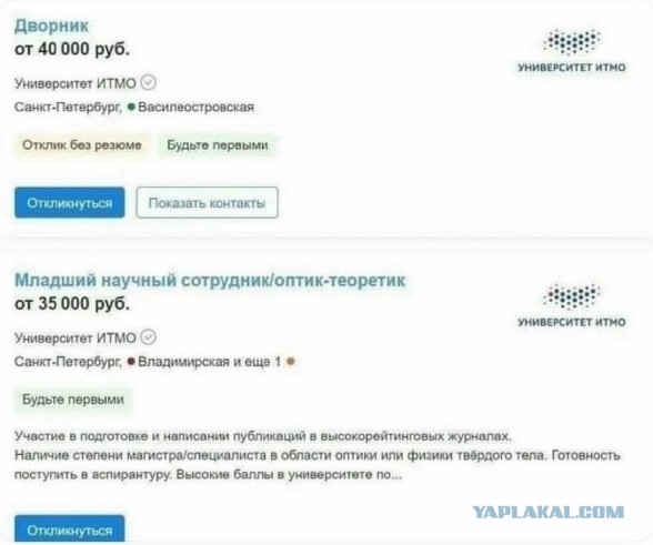 Бабушке-дворнику из Петербурга собрали 1 млн рублей на день рождения