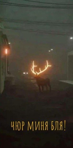 Ну красиво же?!