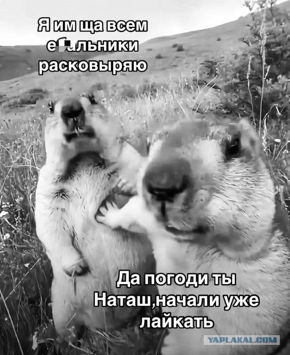 Отпусти, я ему втащу.