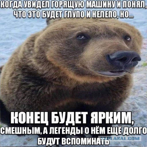 Картинки для деградации 68 (разной степени свежести)