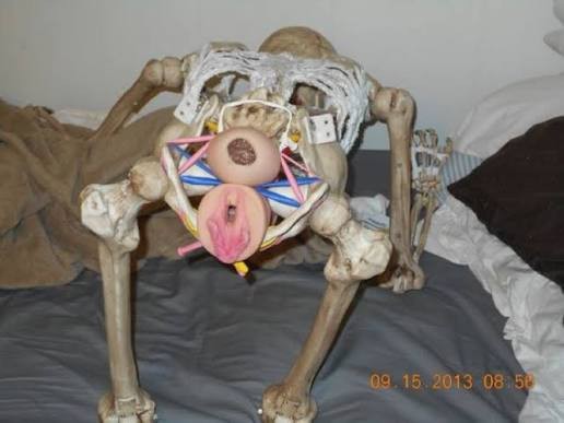 Денег не просит, мозги не выносит