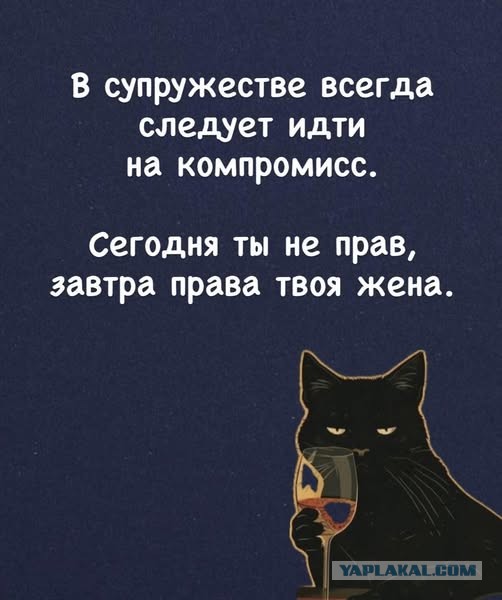 Картинки