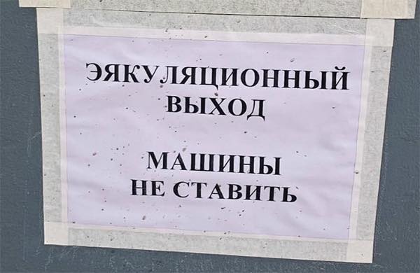 Веселые картинки в пятницу (16.01)