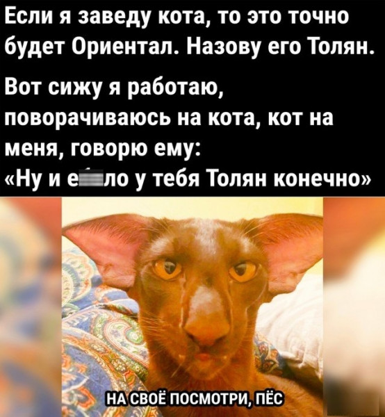 А Толян где?