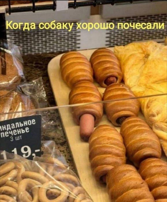Картинки для деградации 151 (разной степени свежести)