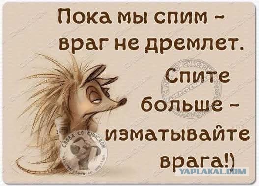 Картинки для деградации 289 (разной степени свежести)