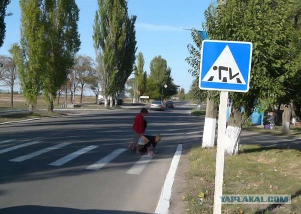 А теперь аккуратно переходим дорогу!