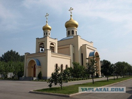 Северокорейский "голодомор "