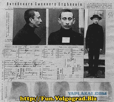 Ой, как на нашего Буншу похож!