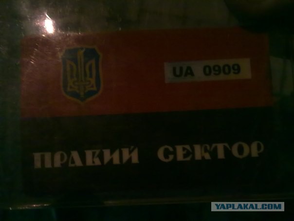 Митингующий Донецк