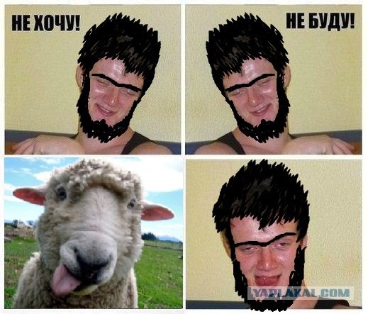 Смешные комментарии из социальных сетей.