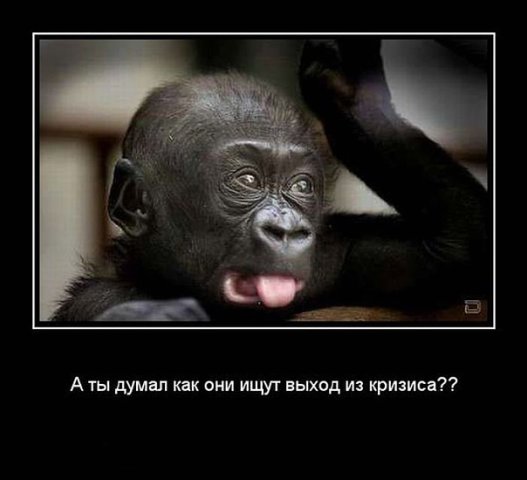 Комментарии из социальных сетей