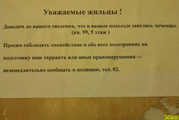 В нашем доме поселился