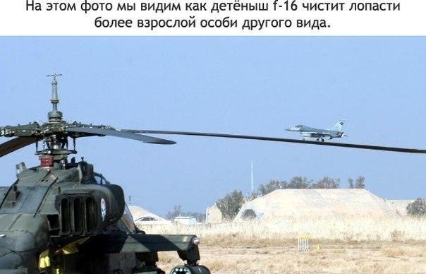 Самый правильный ракурс