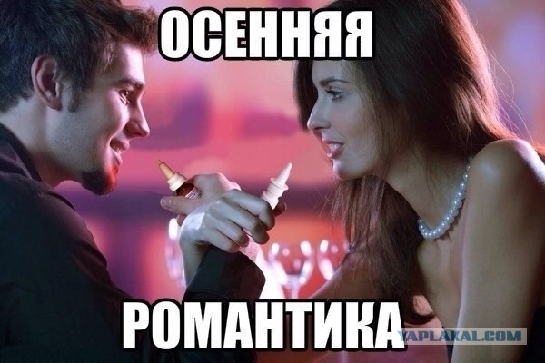 Подборка весёлых картинок
