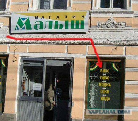 Картинки