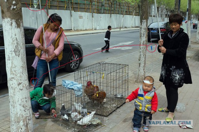 Фото, сделанные китайским фотографом