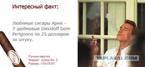 Как производят сигары