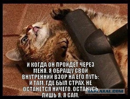 Немного картинок перед понедельником
