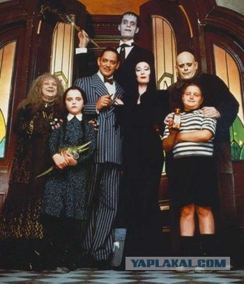 Уютный домик с прекрасным видом из окна