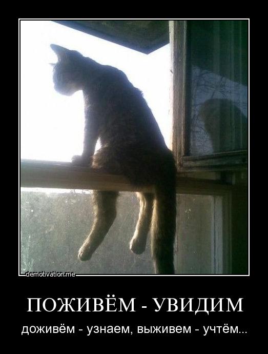 Вы хотите "демов"? часть 2-я