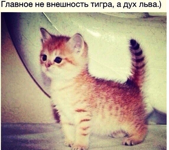 Вторник-повторник