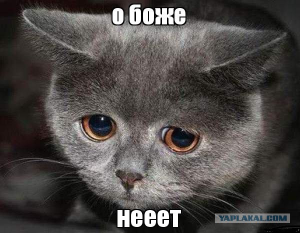Неудержимые категории "Ы"