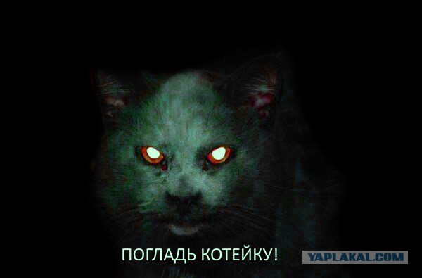 Помогал готовить пирожки