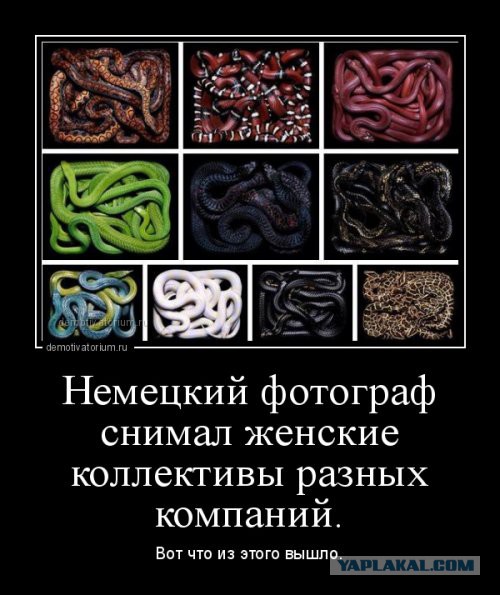 Офисные ведьмы