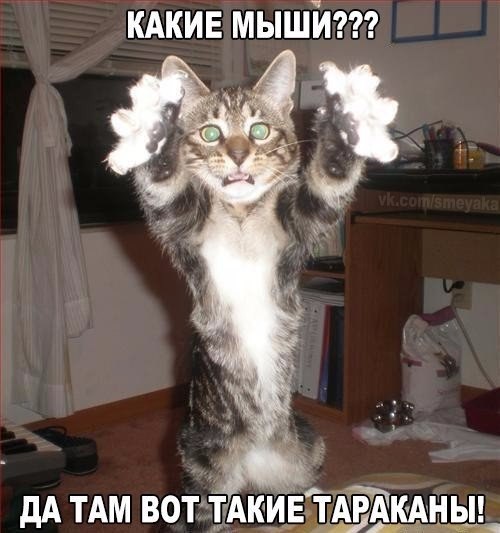 Прикольные картинки