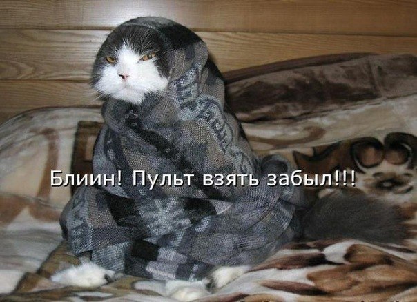 Картинки и демотиваторы