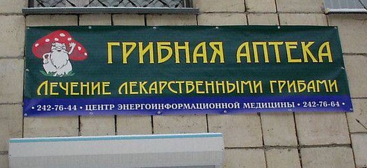 Удивительный мир грибов