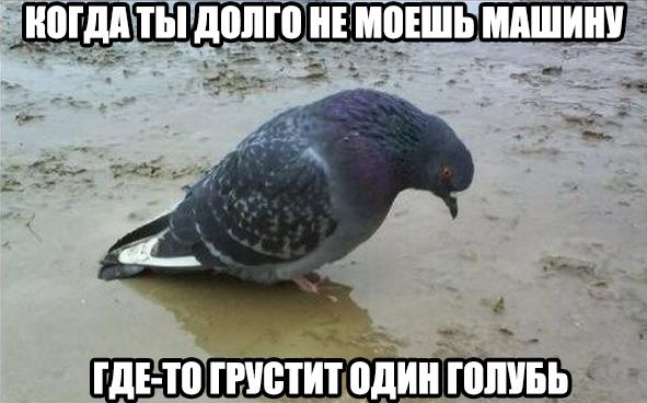 Всяко - разно...картинки