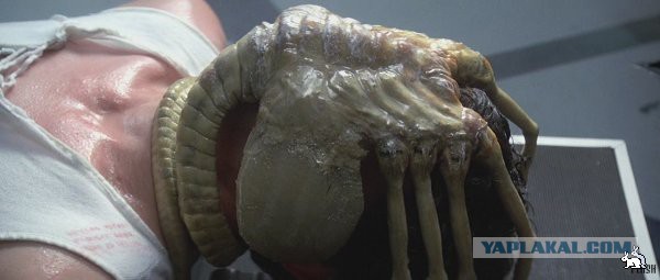 Жена узнала что это омолаживает кожу