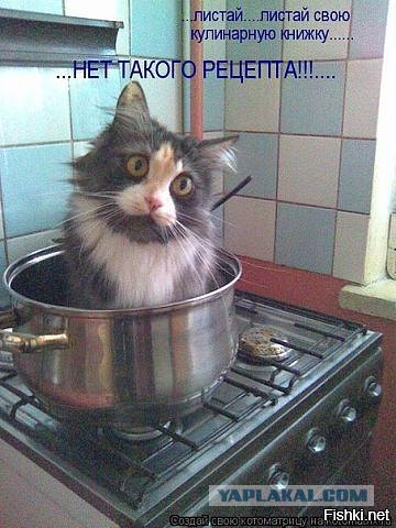 Смешные картинки