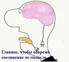 Подборка веселых картинок с тырнета