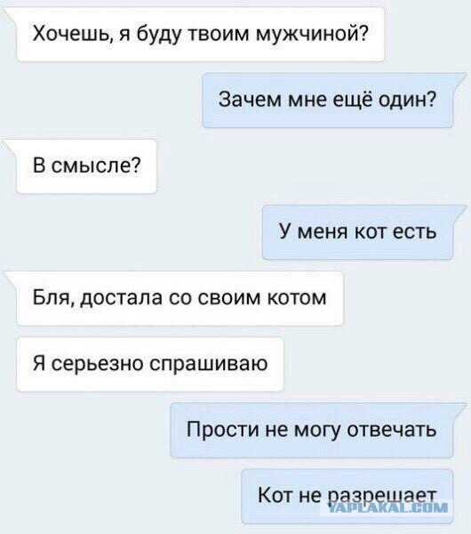 Смешные комментарии из социальных сетей 02.12.2016