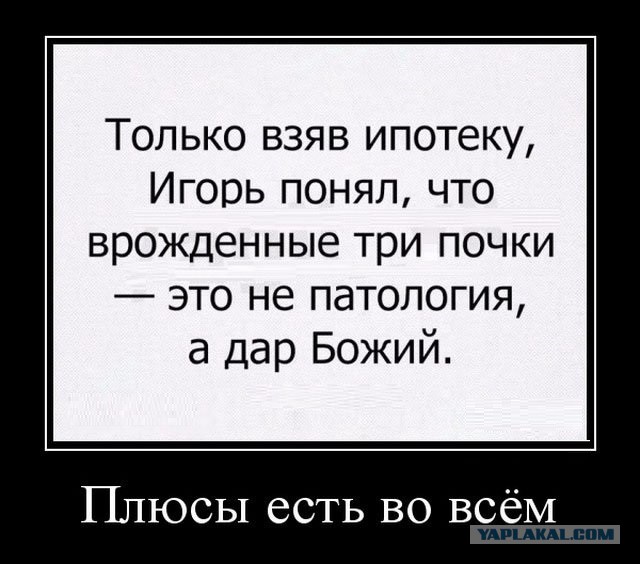 Подборка интересных и веселых картинок